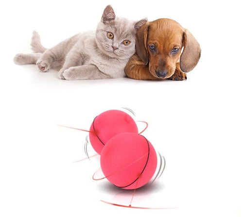 LED Laser Electronic Rolling Pet Funny Cat Toy Ball HappyPattes